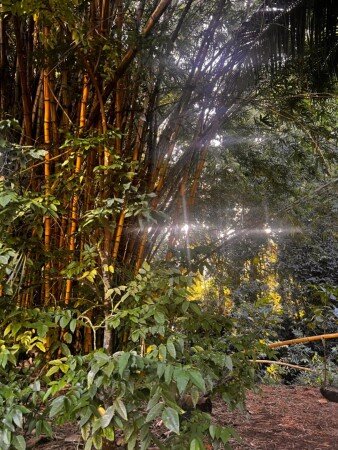 Maison de campagne 4 voyageurs, avec wifi