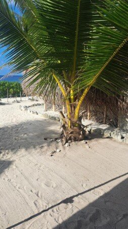 Camping / Mobil Home 1 chambre, avec jardin