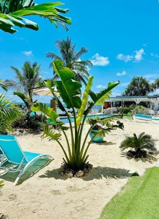 Apartment 1 bedroom, with pool