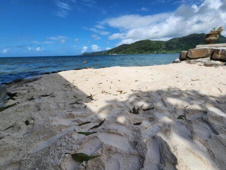 House 2 bedrooms, with garden