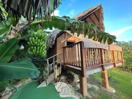 Chalet 1 chambre, avec jardin