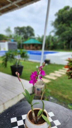 Bed and breakfast 1 camera, con piscina