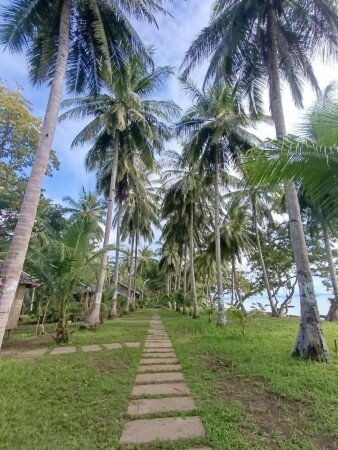 Bed and breakfast 2 ospiti, con giardino