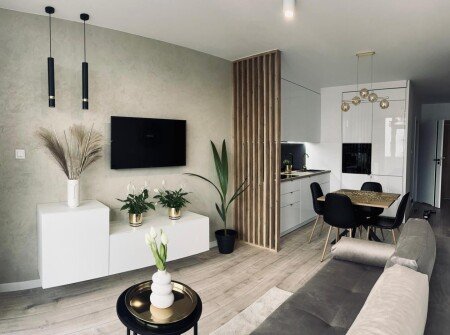 Wohnung 1 Schlafzimmer, mit WLAN