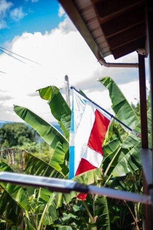 House 1 bedroom, with garden