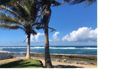 Apartamento 4 huéspedes, con jardín