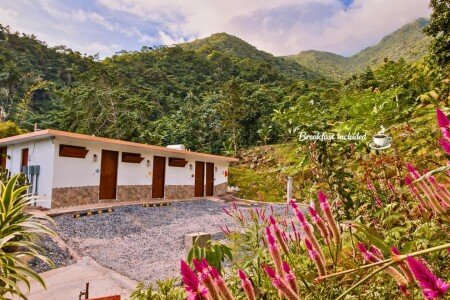 Bed and breakfast 6 huéspedes, con jardín