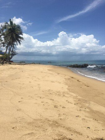 Apartamento 1 habitación, con jardín