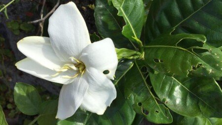 Bed and breakfast 5 huéspedes, con piscina