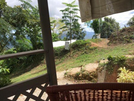 Atípico 1 habitación, con jardín