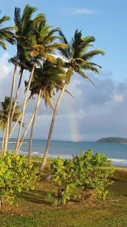 Apartamento 2 habitaciones, con jardín