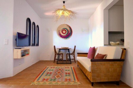 Apartamento 1 habitación, con jardín