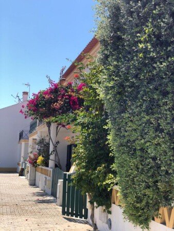 Villa 4 chambres, avec jardin