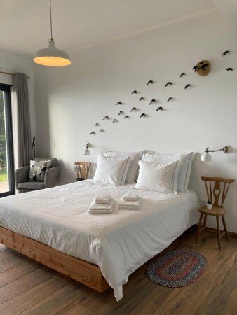 Appartement 2 gasten, met tuin
