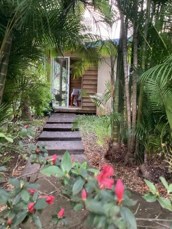 Appartement 1 chambre, avec jardin