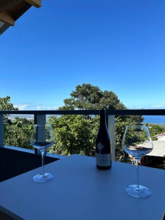 Appartement 1 chambre, avec jardin