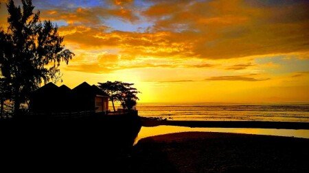 Appartement 1 chambre, avec jardin