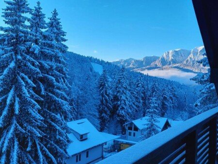 Wohnung 1 Schlafzimmer, mit WLAN