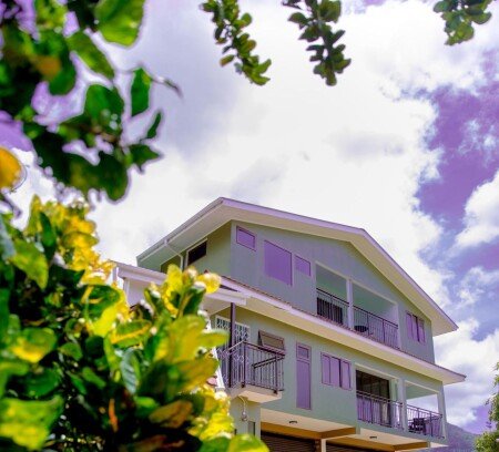 House 7 guests, with garden