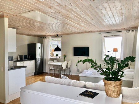 Appartement 1 slaapkamer, met wifi