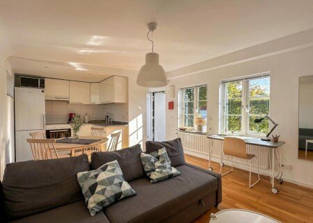 Apartment 1 bedroom, with garden
