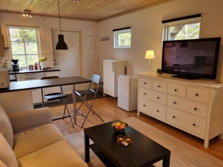 Appartement 1 chambre, avec climatisation