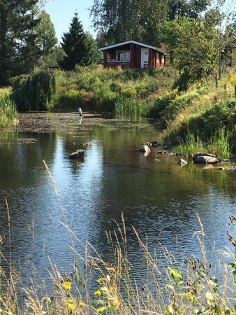 Chalet 1 bedroom, with garden