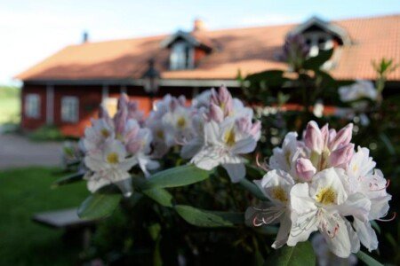 Bed and breakfast 10 ospiti, con giardino
