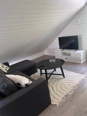 Apartment 1 bedroom, with garden