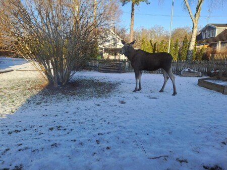 House 1 bedroom, with garden