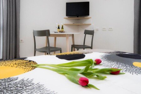 Appartamento 4 ospiti, con giardino