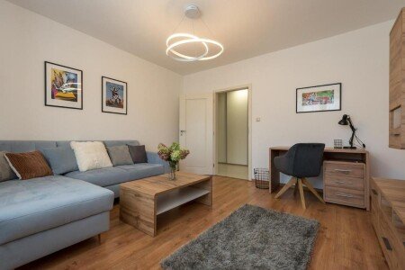 Wohnung 1 Schlafzimmer, mit WLAN