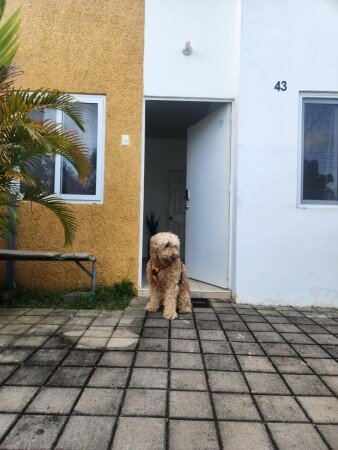Casa 2 habitaciones, con jardín