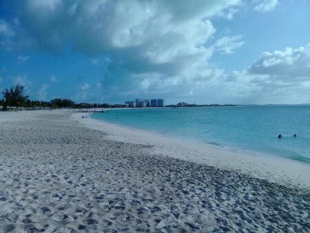 Apartamento 1 habitación, con jardín