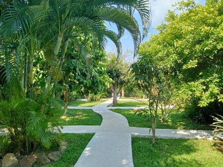 Hotel con jardín