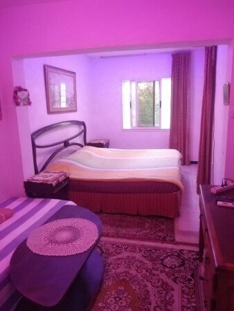 Appartement 1 chambre, avec jardin