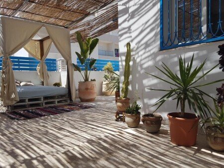 Appartamento 1 camera, con giardino