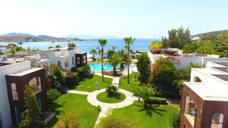 Hotel with pool