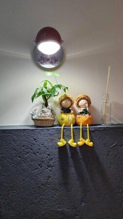 Bed and breakfast 14 guests, with pool