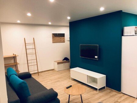 Appartamento 1 camera, con aria condizionata