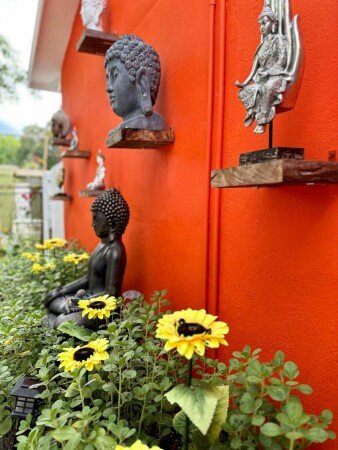 Studio 1 chambre, avec jardin