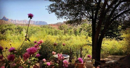 Bed and breakfast 2 guests, with pool