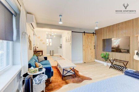 Apartment 1 bedroom, with air conditioning