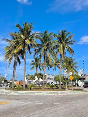 House 3 bedrooms, with pool