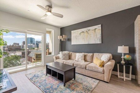 Apartment 1 bedroom, with jacuzzi