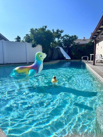 Bed and breakfast 1 bedroom, with pool