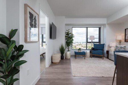 Apartment 1 bedroom, with jacuzzi