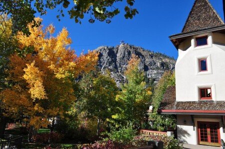 Aparthotel 1 bedroom, with jacuzzi