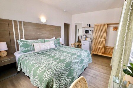 Appartement 1 chambre, avec climatisation