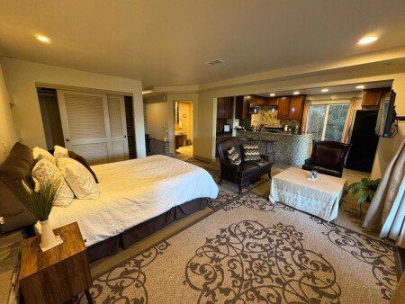 Apartment 1 bedroom, with garden